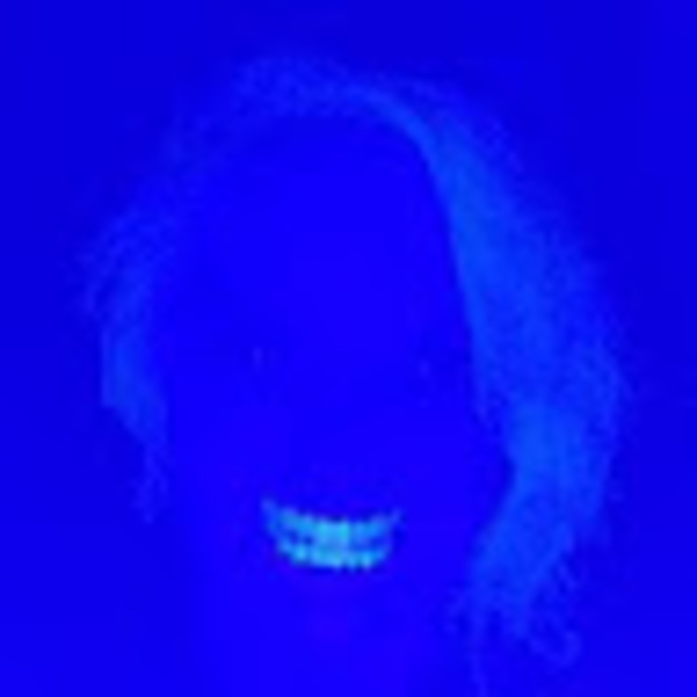 Meet your Posher, Lady